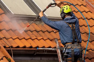 Démoussage et hydrofuge de toiture à Mornac